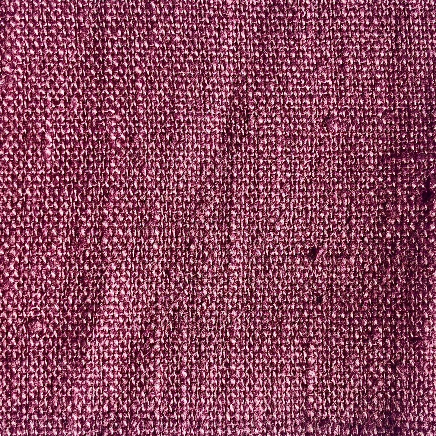 DAMSON - COTTON